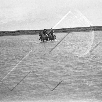 EIE 0936.jpg