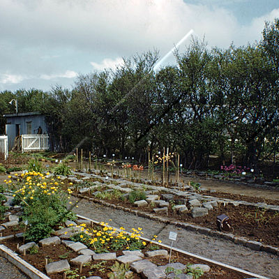 KRG 001 017 5-1