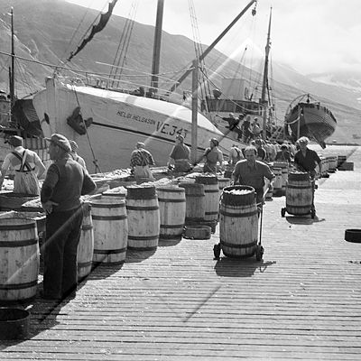 ÓKM 320 614 2-2.jpg