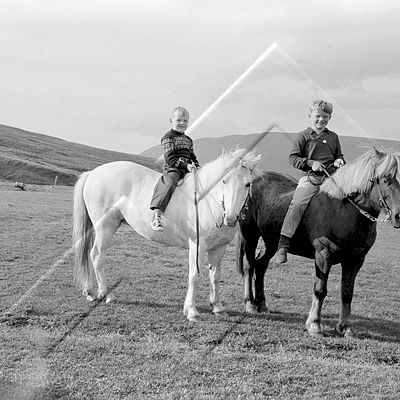RAB 001 091 2-1