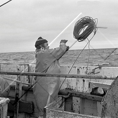 ALB 003 095 3-2