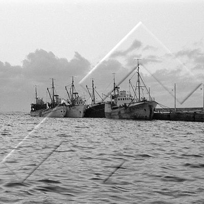 PTH 001 014 7-2.jpg