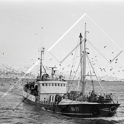 ALB 002 044 6-3