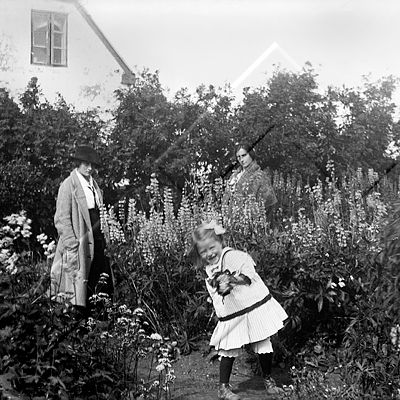PEL 708.jpg