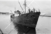 ALB 006 113 4-3.jpg