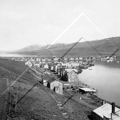 PSÖ 139