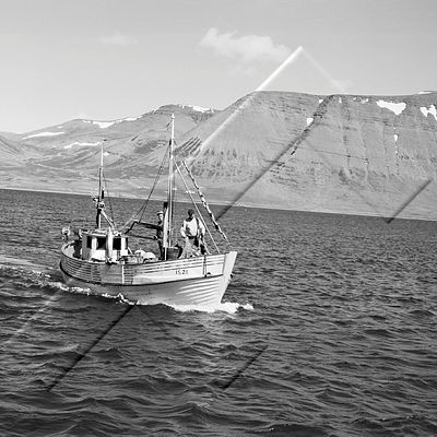 HAP ÞIE 004 3-1