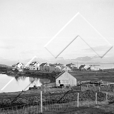 EYH 003 025 1-1.jpg