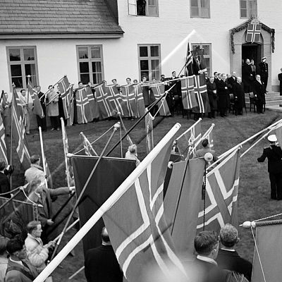 VIG 0195 007 3-1