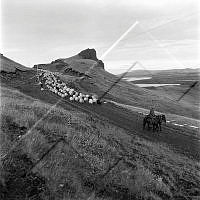 ÓKM 063 134 3-1.jpg