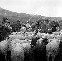 ÓKM 063 136 1-3.jpg