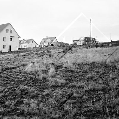 PTH 013 121 5-2.jpg