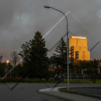 MSK ÞE 067