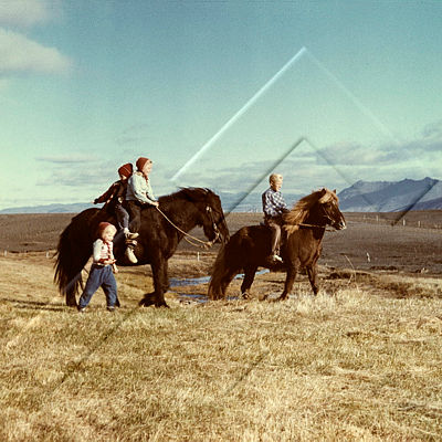 HEF 005 018