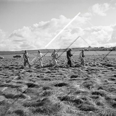 ÓSS 008 063 1-2.jpg