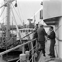 ÓKM 063 186 2-1.jpg