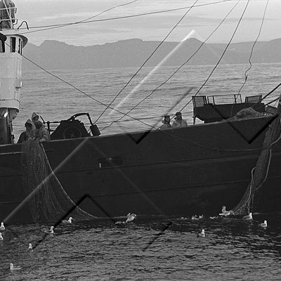 ALB 003 124 1-5