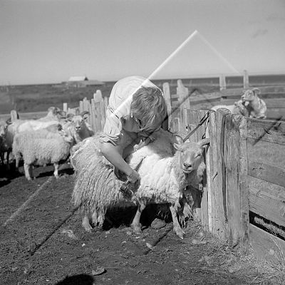 ÓSS 003 012 2-1.jpg