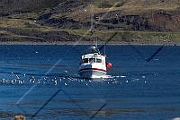 FBL PS 3538.jpg