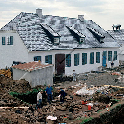 365 Viðey 20