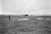 ÓKM 065 081 2-5.jpg