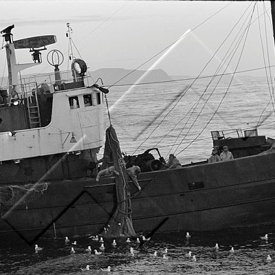 ALB 003 124 1-3