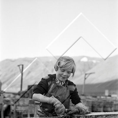 ÓKM 320 613 4-1.jpg