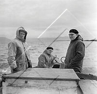 ÓSG 003 091 2-2.jpg