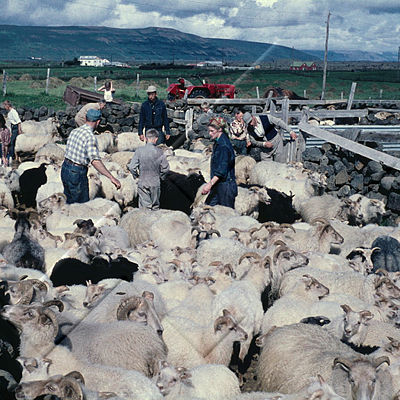 GRÓ 019 018 3-3.jpg