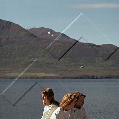 IHB 002 009 3-4