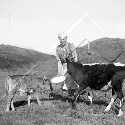 JÓJ 001 035 1-2