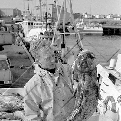 365 Grindavík 34.jpg